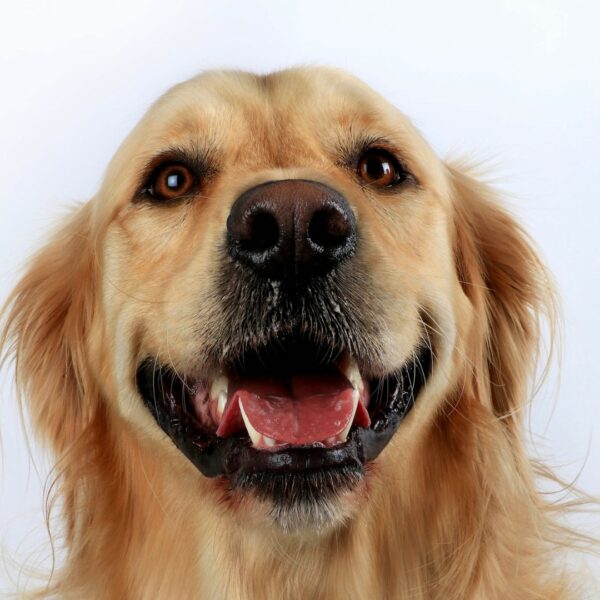 Toby smiling